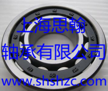 INA轴承-SL 18 3008-圆柱滚子轴承