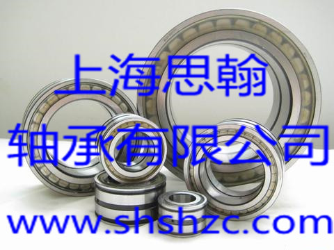 INA轴承-SL 18 2310-圆柱滚子轴承
